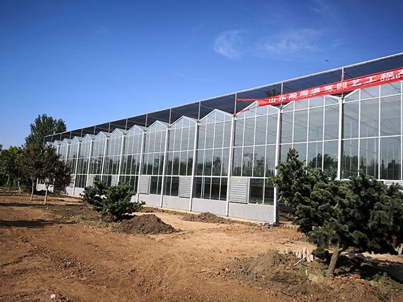 Solutions for summer greenhouse ventilation