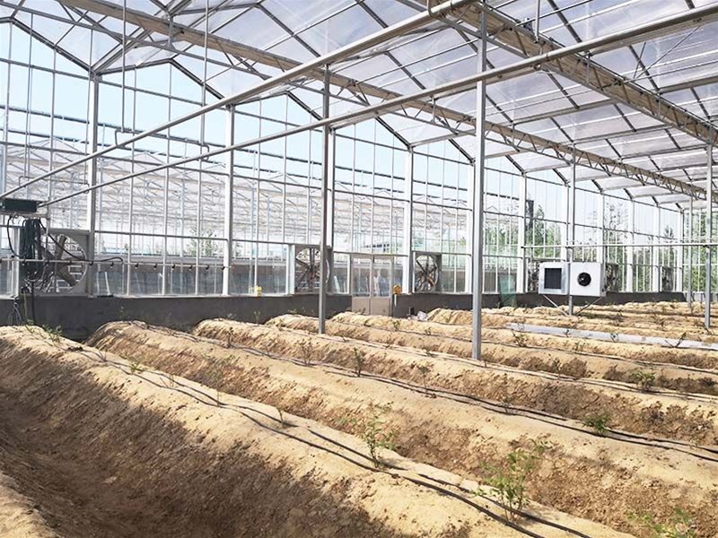 What factors affect vegetable gardening?