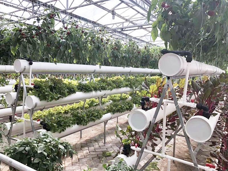 Benefits of greenhouses