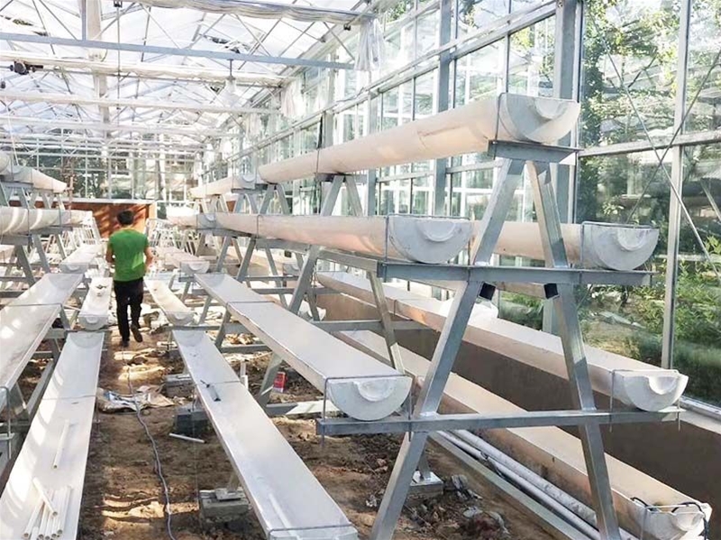 Hydroponics greenhouse