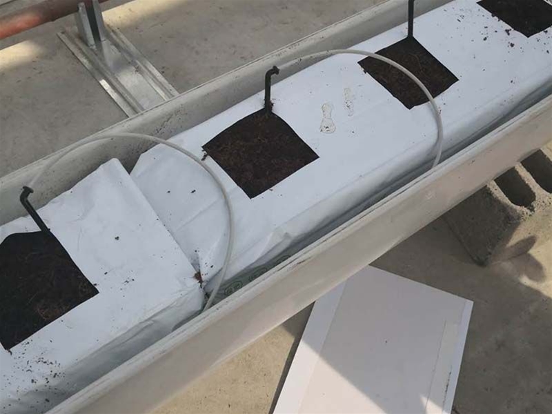 Hydroponics greenhouse