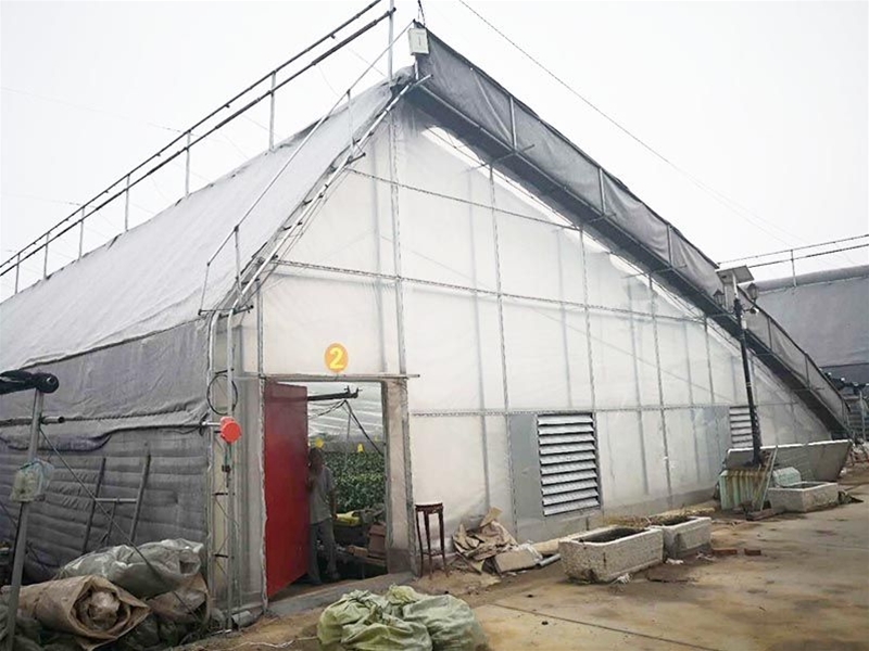 Winter greenhouse