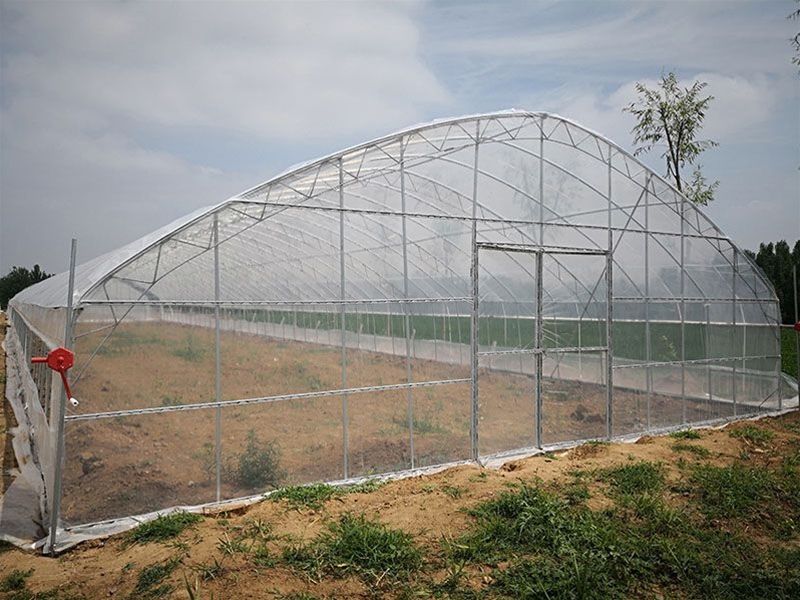 Single -span greenhouse