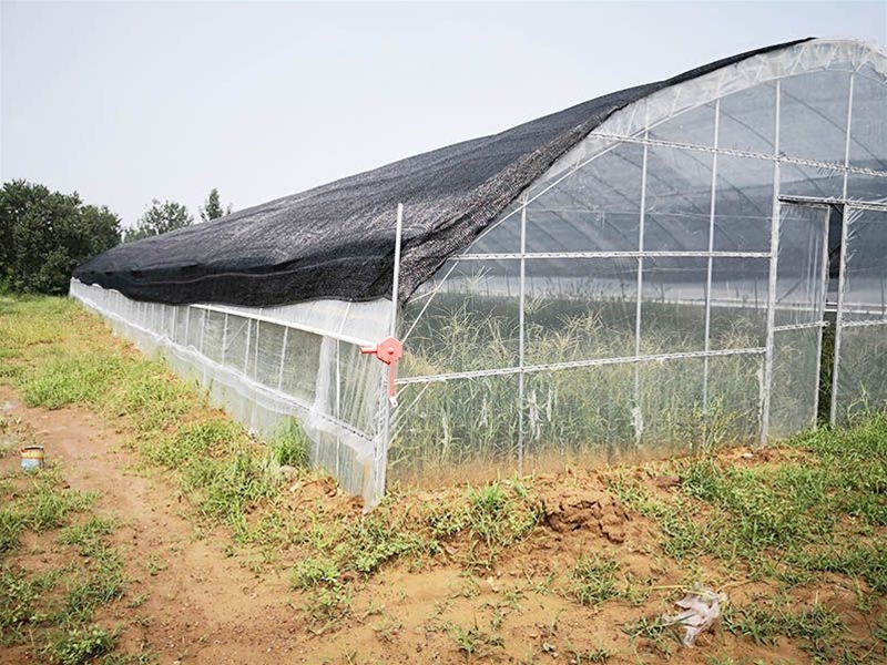 Single -span greenhouse
