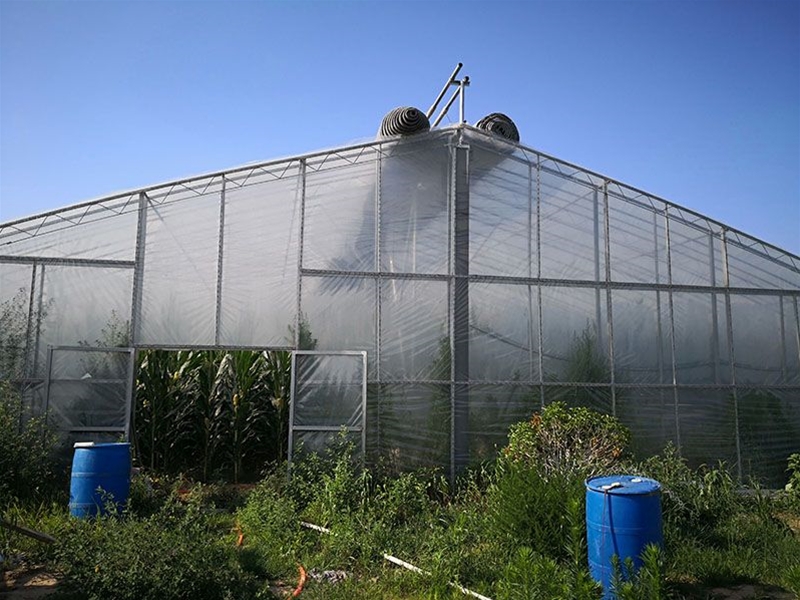 Single -span greenhouse