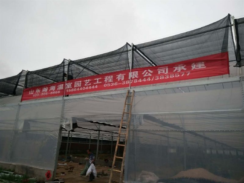 Multi-span greenhouse