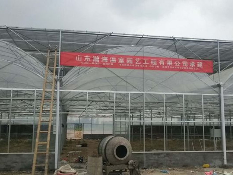 Multi-span greenhouse