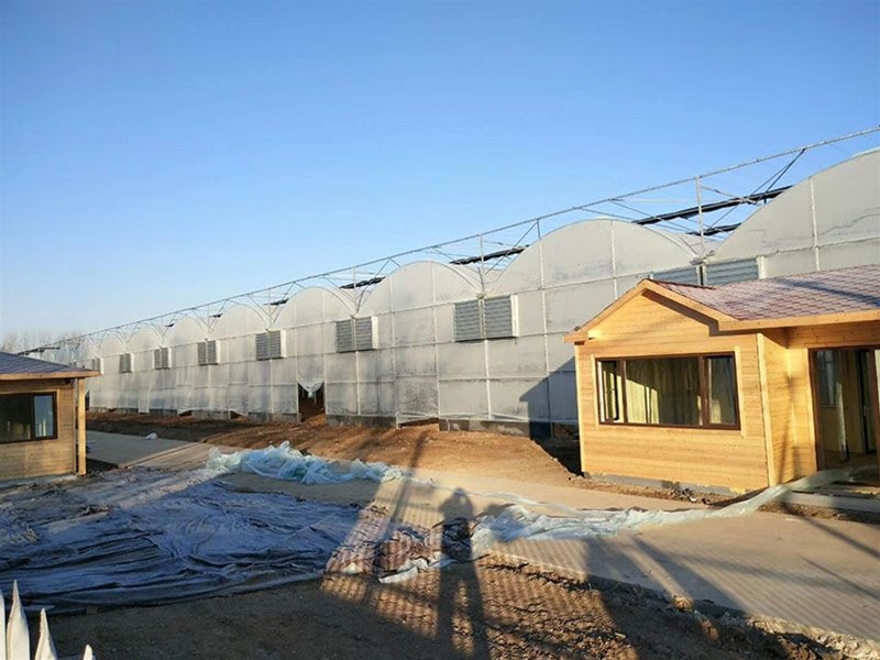 Multi-span greenhouse