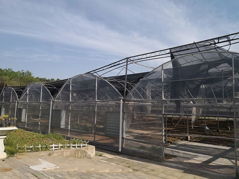 Multi-span greenhouse