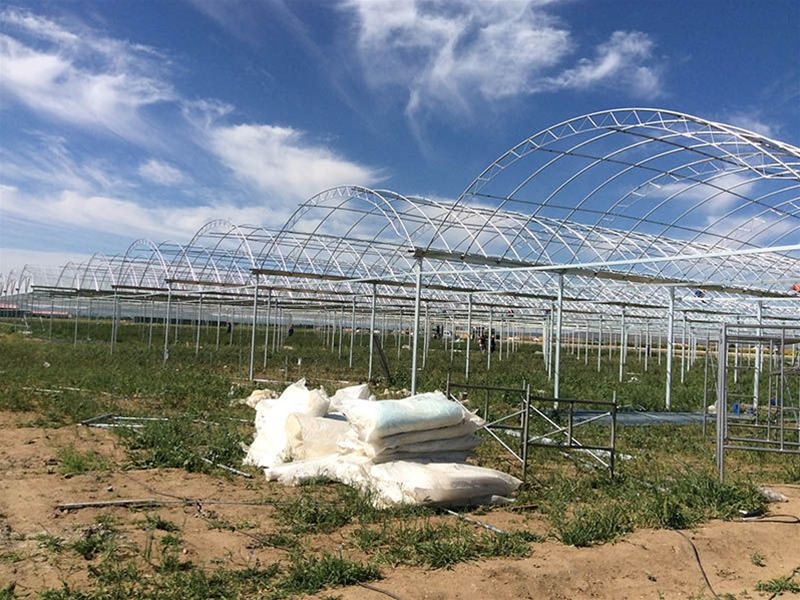 Multi-span greenhouse