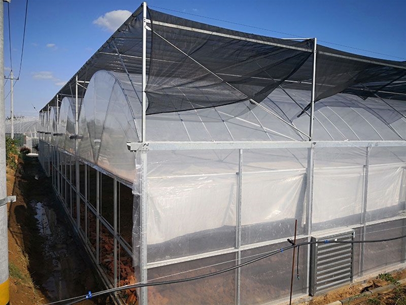 Multi-span greenhouse