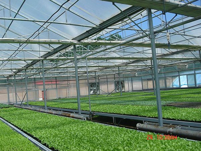 Polycarbonate sheet greenhouse
