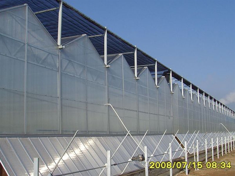 Polycarbonate sheet greenhouse