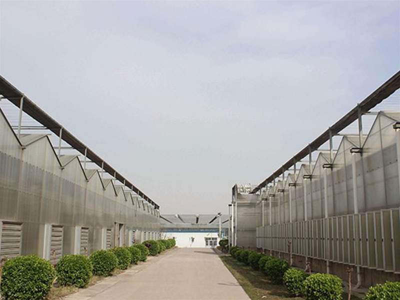 Polycarbonate sheet greenhouse
