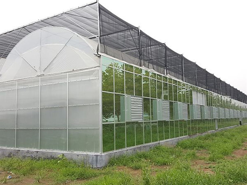 Polycarbonate sheet greenhouse