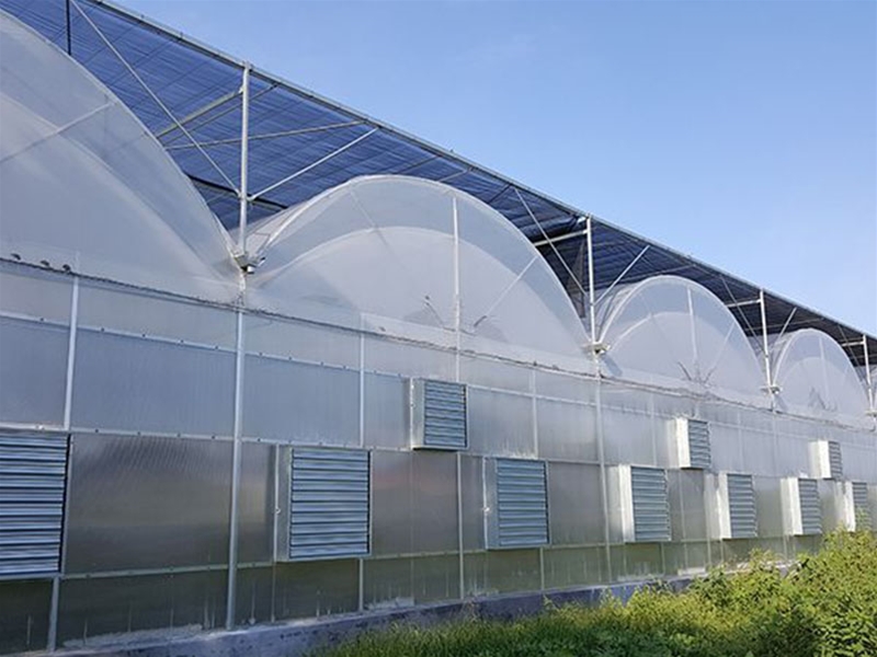 Polycarbonate sheet greenhouse