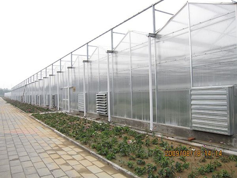 Polycarbonate sheet greenhouse