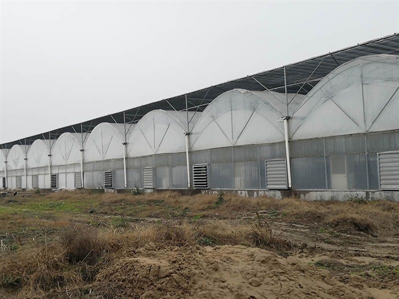 Film Greenhouse