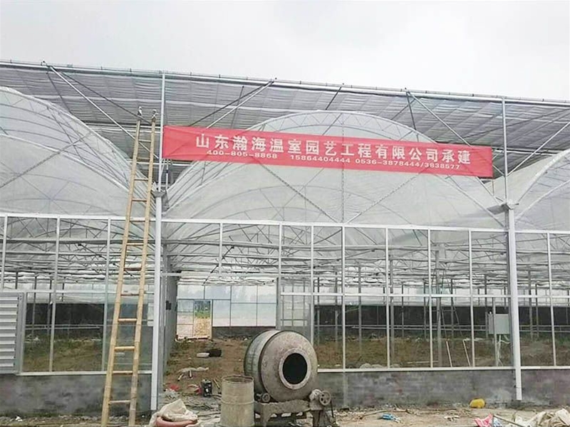 Film Greenhouse