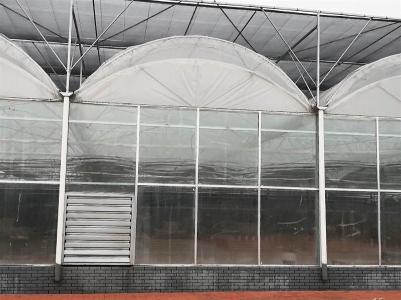 Film Greenhouse