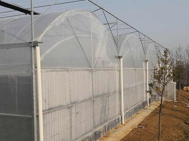 Film Greenhouse