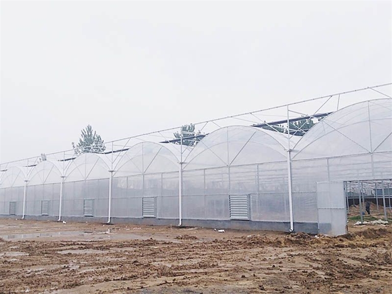Film Greenhouse