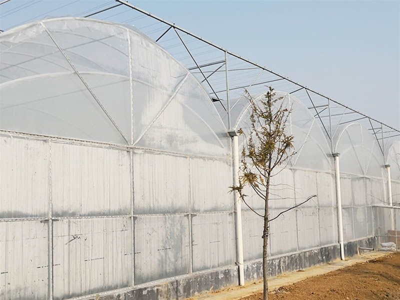 Film Greenhouse